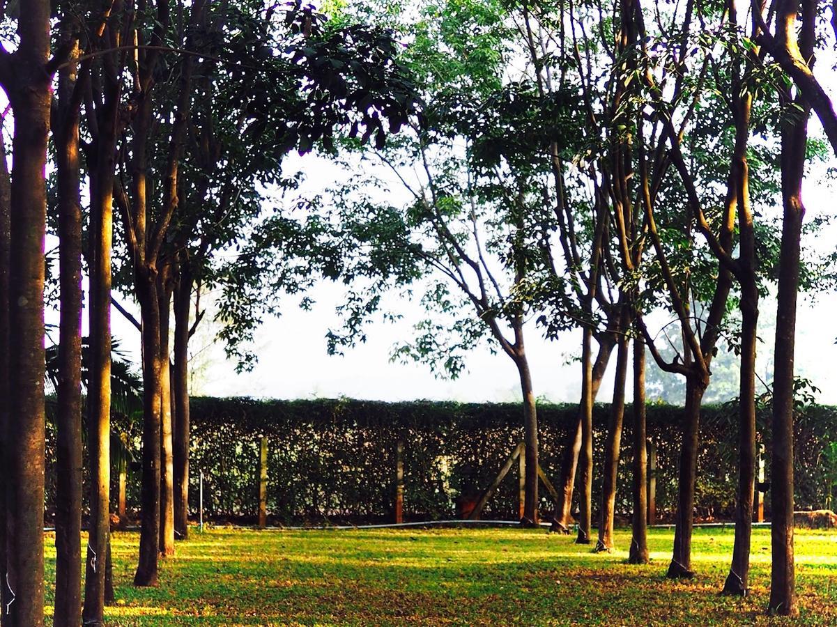 Singha Rubber Tree Hotel Sai Yok Ngoại thất bức ảnh
