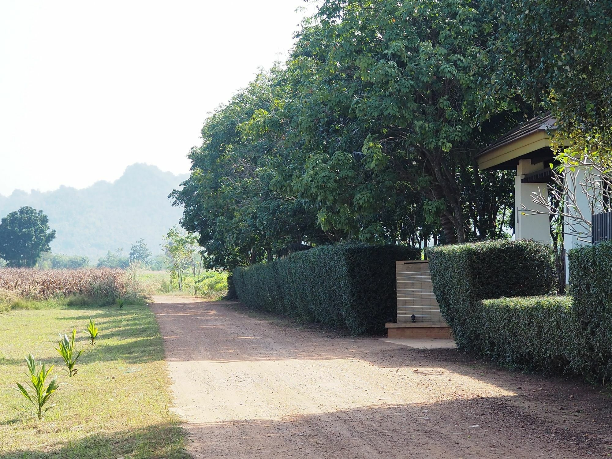 Singha Rubber Tree Hotel Sai Yok Ngoại thất bức ảnh