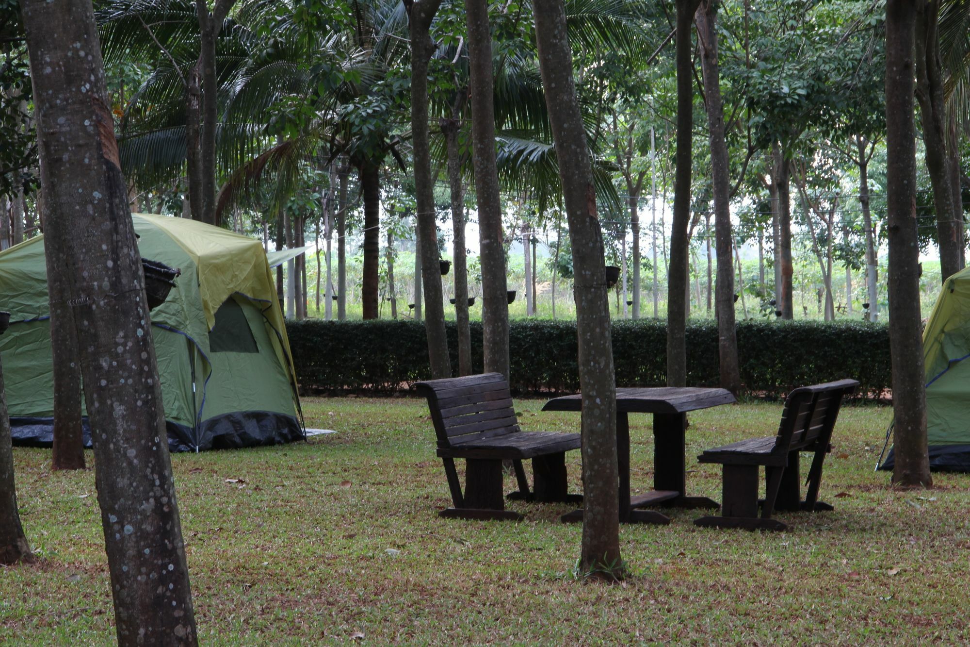 Singha Rubber Tree Hotel Sai Yok Ngoại thất bức ảnh