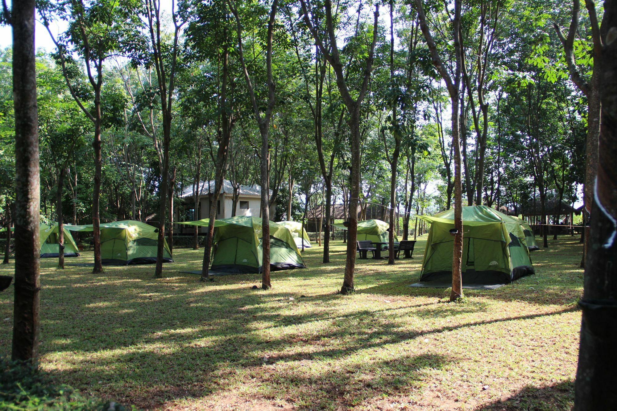 Singha Rubber Tree Hotel Sai Yok Ngoại thất bức ảnh